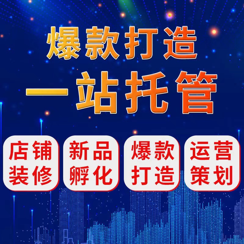 河南淘宝代运营批发价