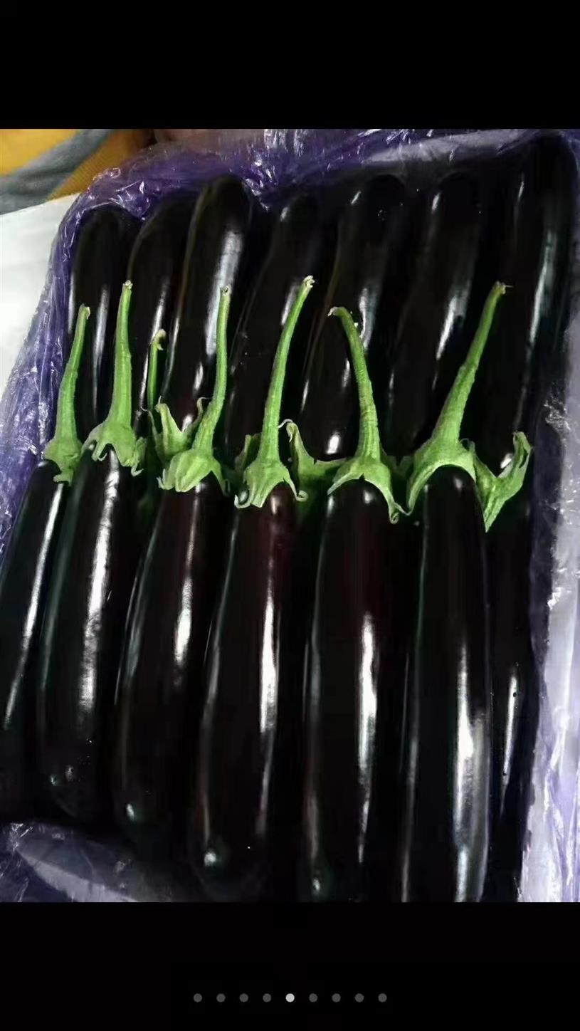 清溪镇蔬菜配送电话