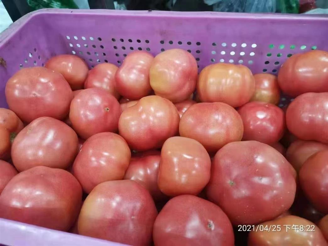 大朗镇蔬菜配送公司