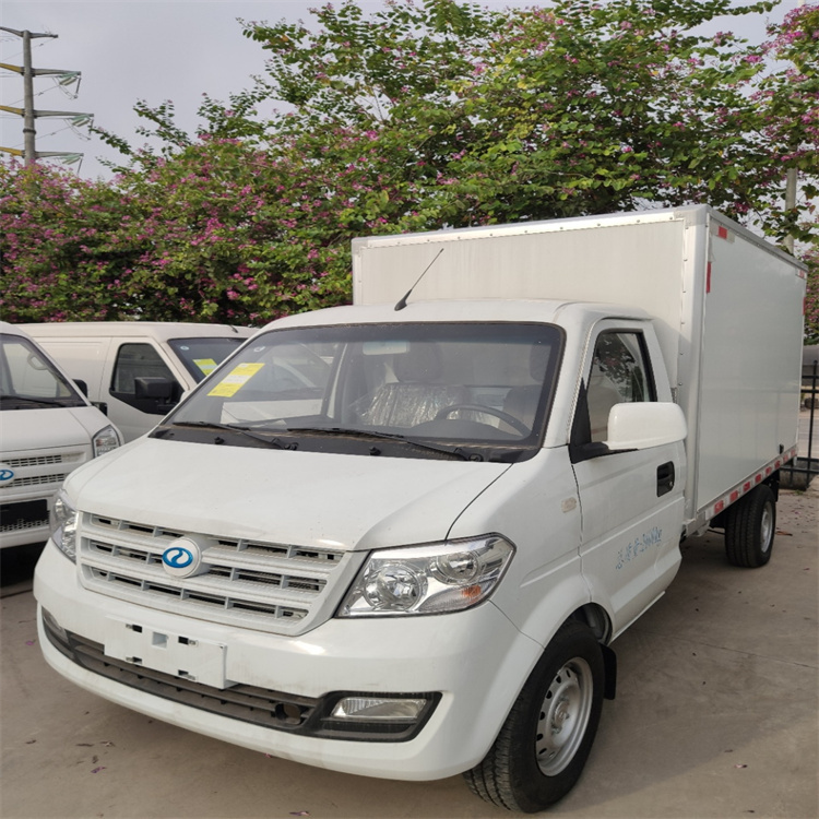 广东瑞驰新能源面包车