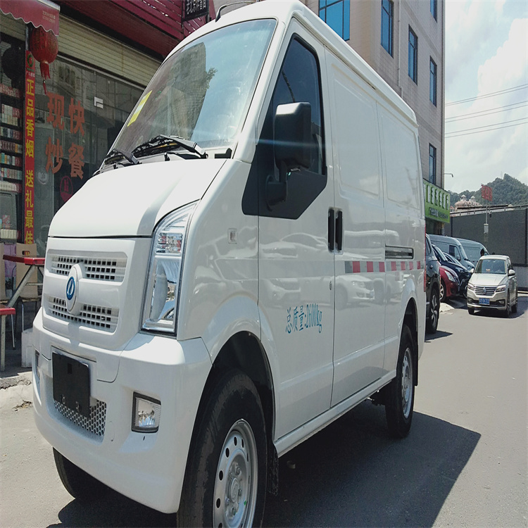 广东买新能源货车