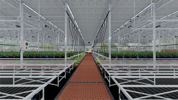 攀枝花钢架大棚_攀枝花钢架大棚安装_攀枝花钢结构温室大棚