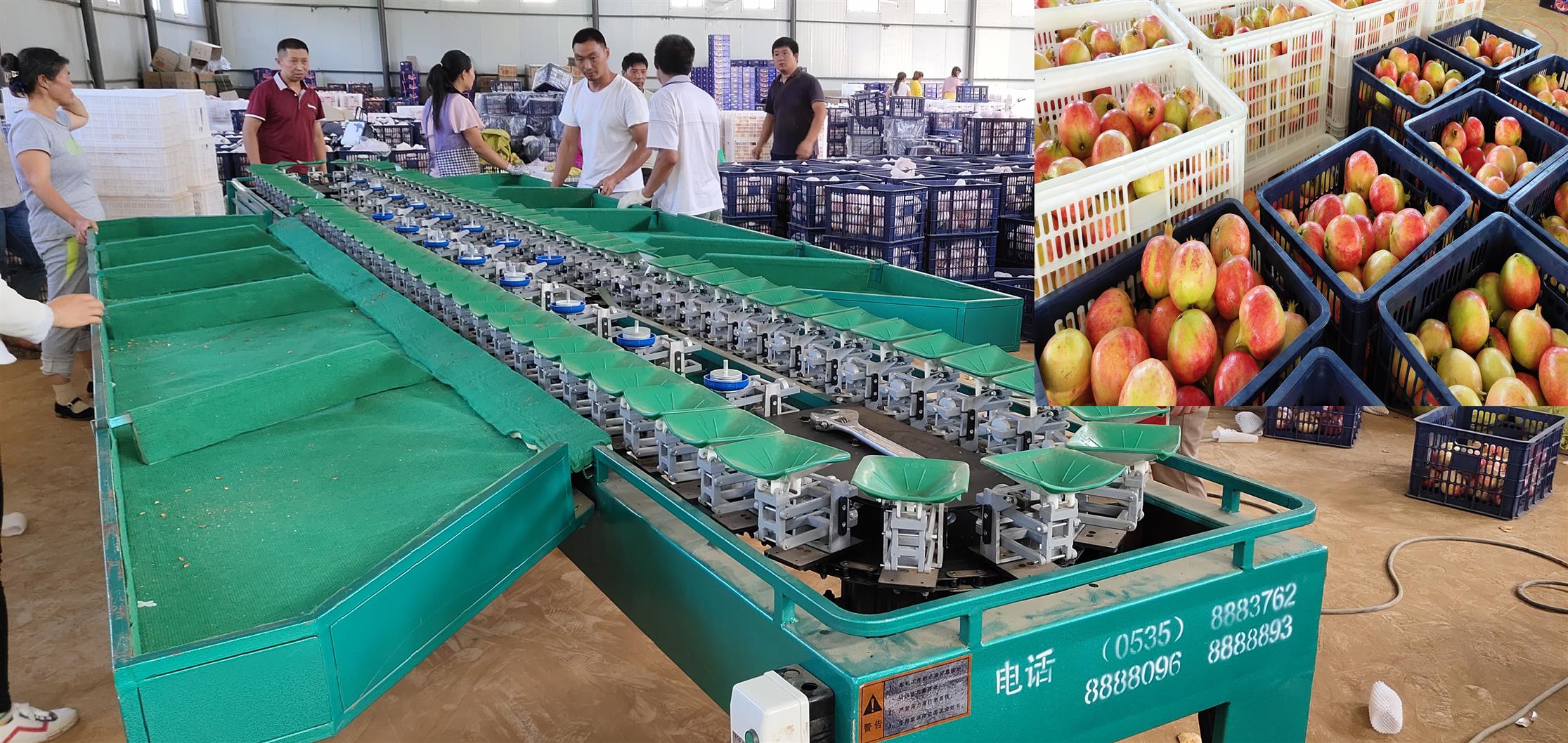 新品介绍石榴选果机