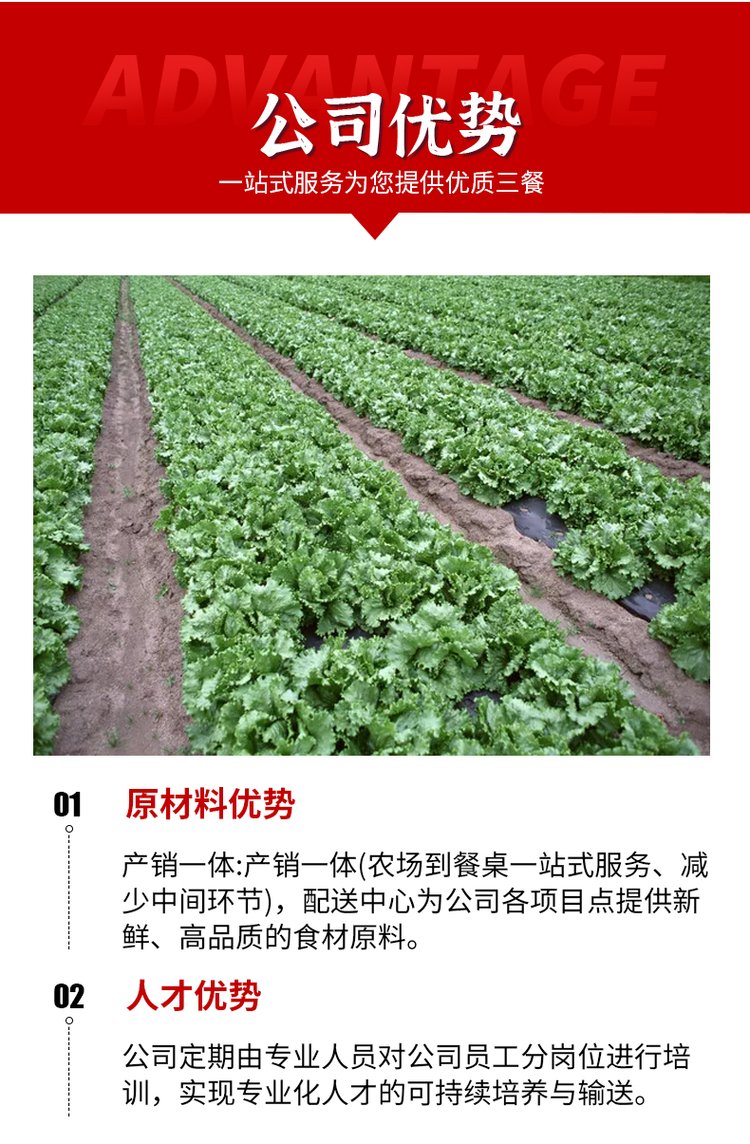 广州增城生鲜肉类蔬菜配送公司批发价格