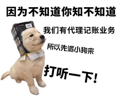 闵行代理记账