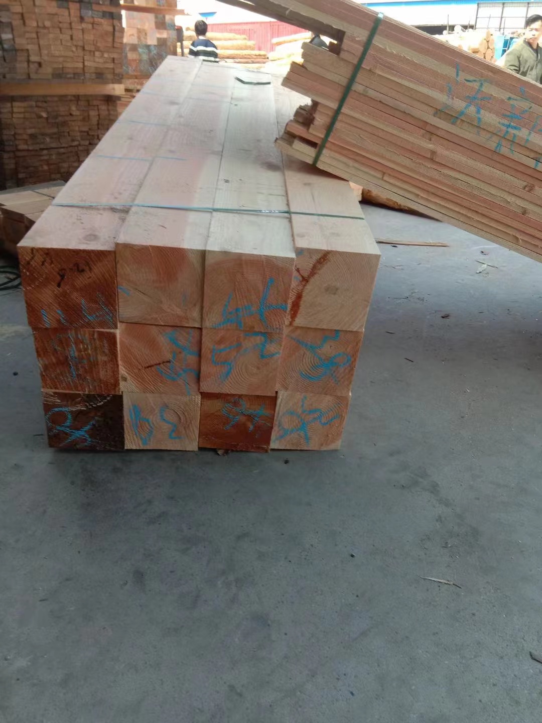 东阳市建筑木方