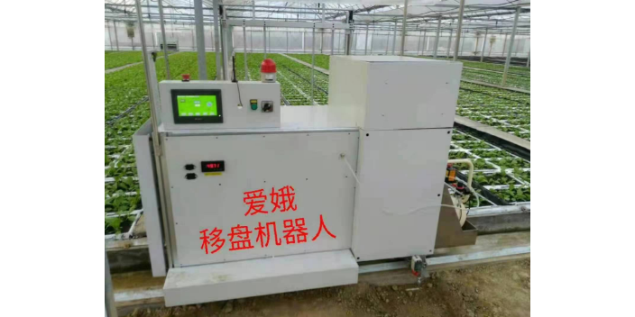 普陀区学校食堂蔬菜配送生产厂家,蔬菜配送