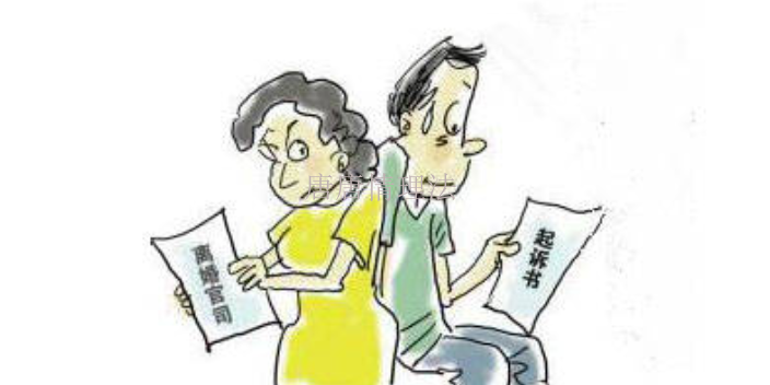 上海律师代理诉讼离婚多久开庭 唐唐情理法咨询中心供应