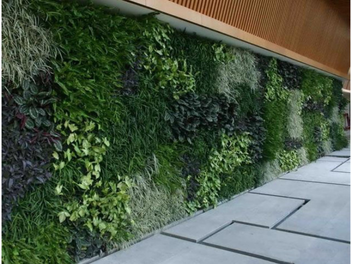 徐汇区塑料绿植墙招标 上海皓尊园艺供应