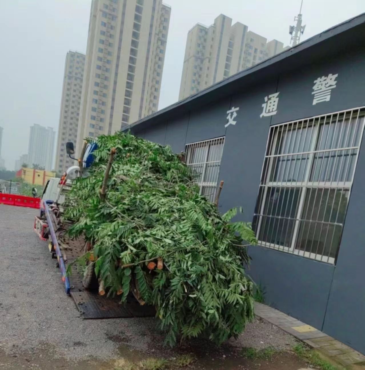 无极道路救援价格-