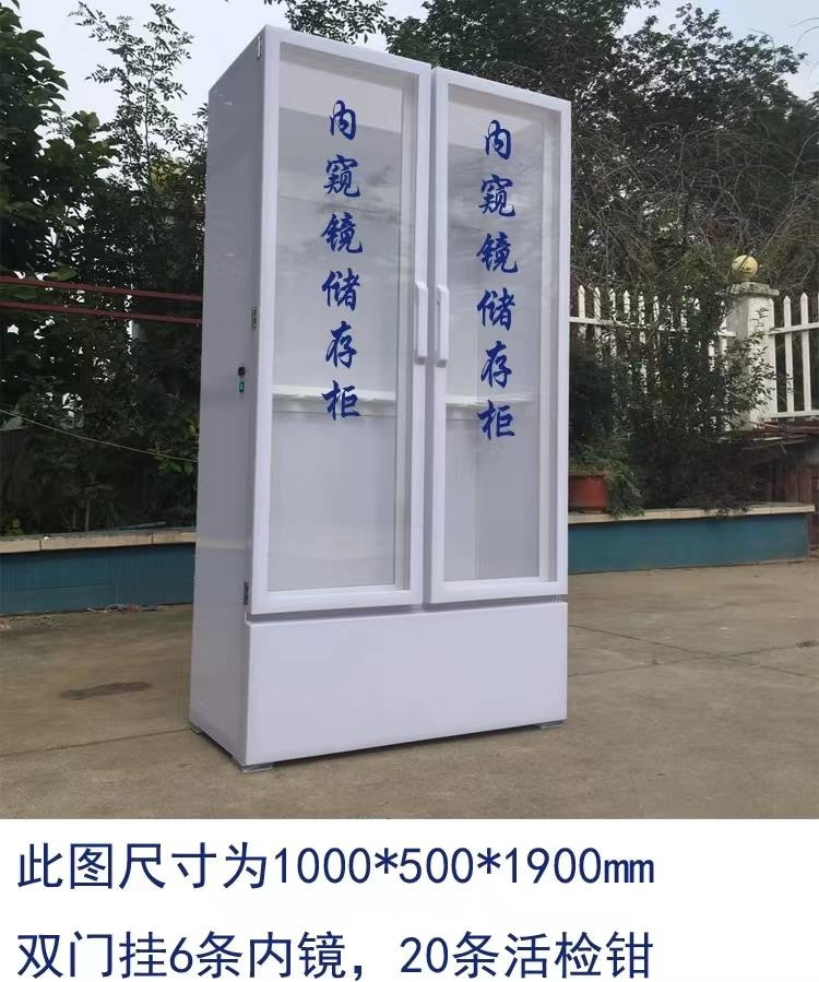 辽阳胃肠镜双门多功能储存柜生成厂家