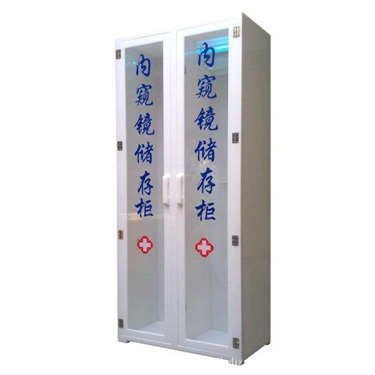 辽阳胃肠镜双门多功能储存柜生成厂家