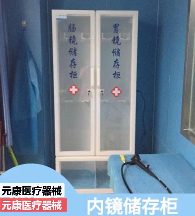 辽阳胃肠镜双门多功能储存柜生成厂家