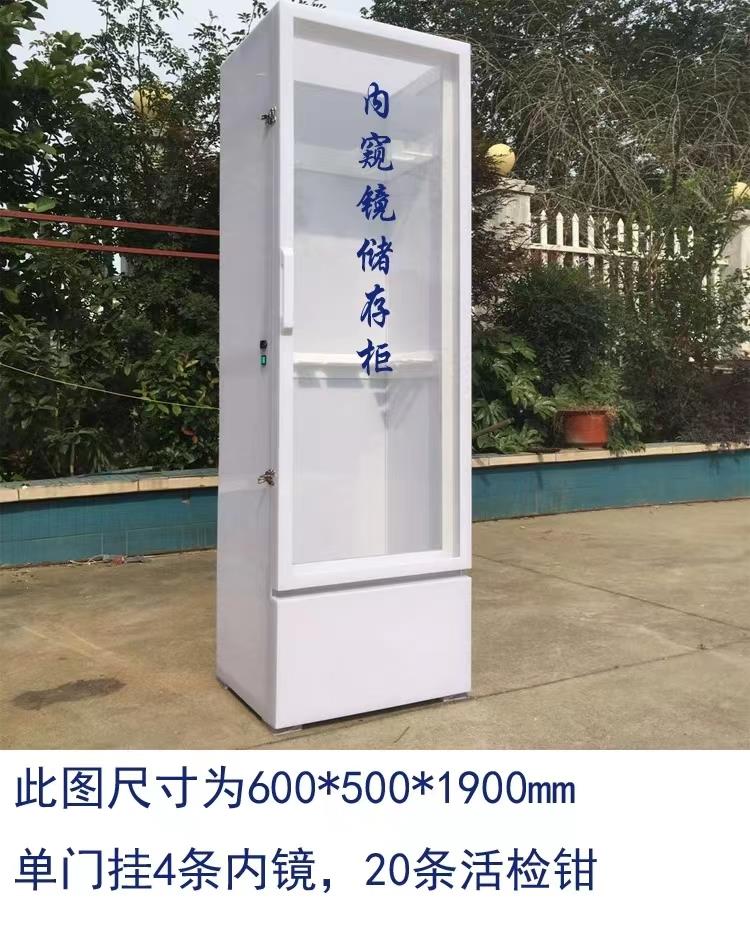 重庆耳鼻喉镜双门多功能储存柜生成厂家
