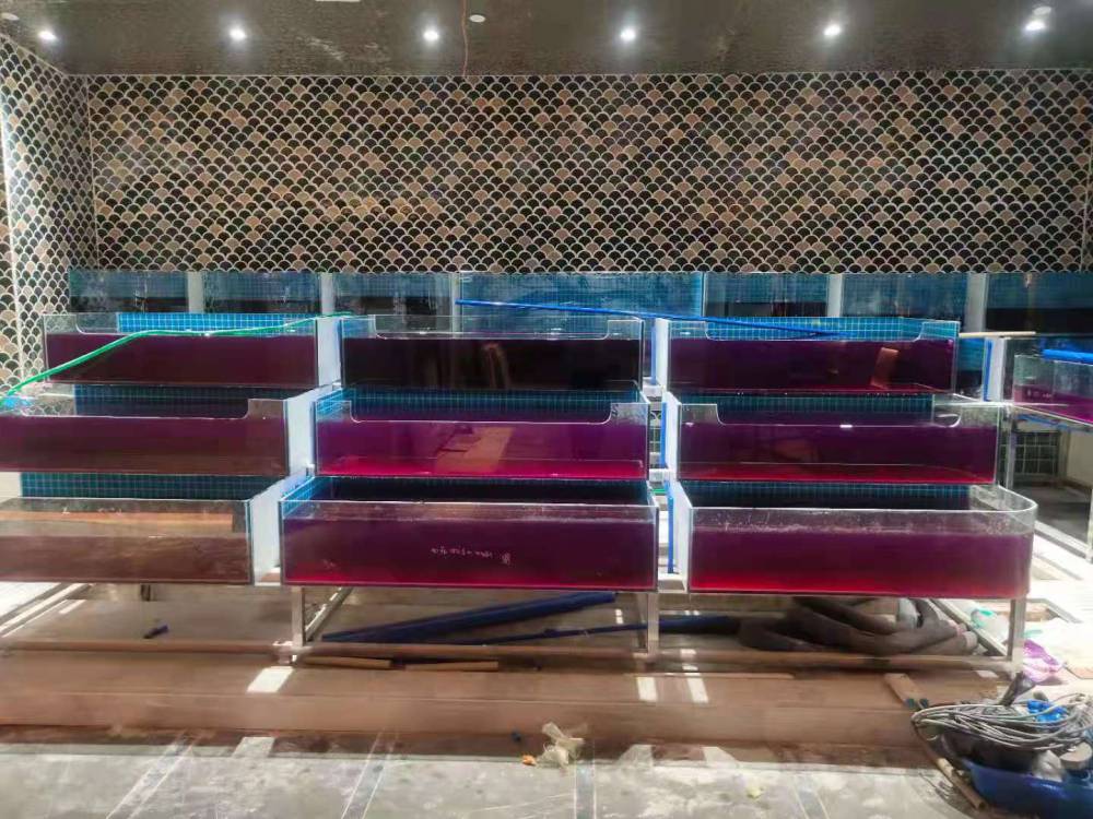 佛山朝安海鲜鱼池工程-佛山供应鱼缸玻璃贝类缸