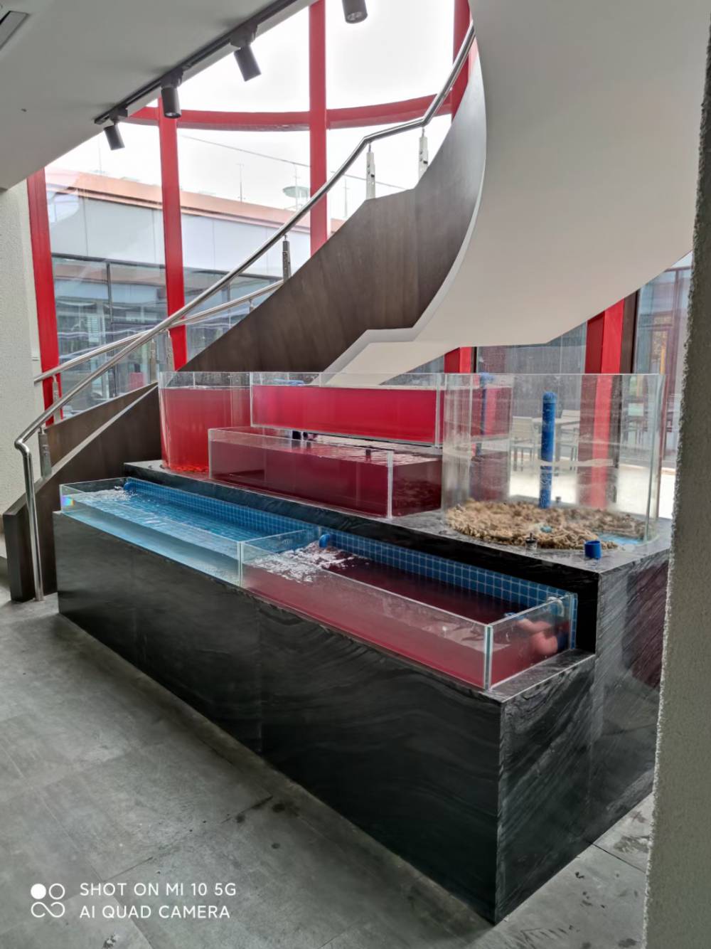 佛山南桂路海鲜鱼池安装-佛山承接酒店**海鲜池