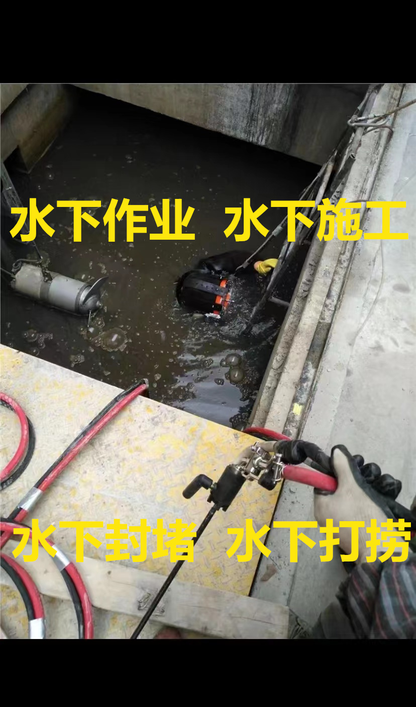 巴彦淖尔市蛙人打捞手机