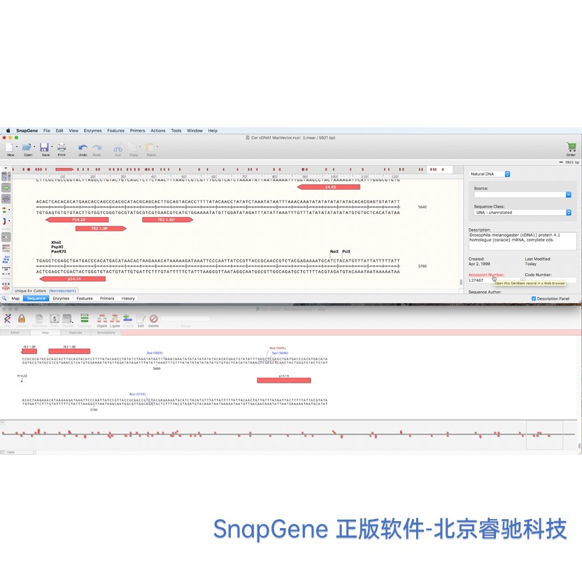 江苏SnapGene软件介绍