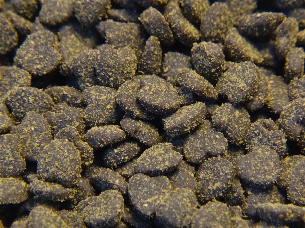 全价 膨化粮猫粮OEM