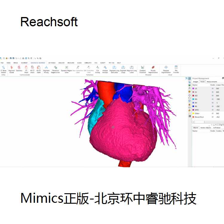 正版Mimics工具代理