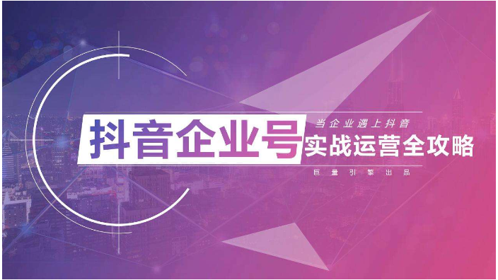 山东企业**教学 诚信经营 山东金子网络科技供应