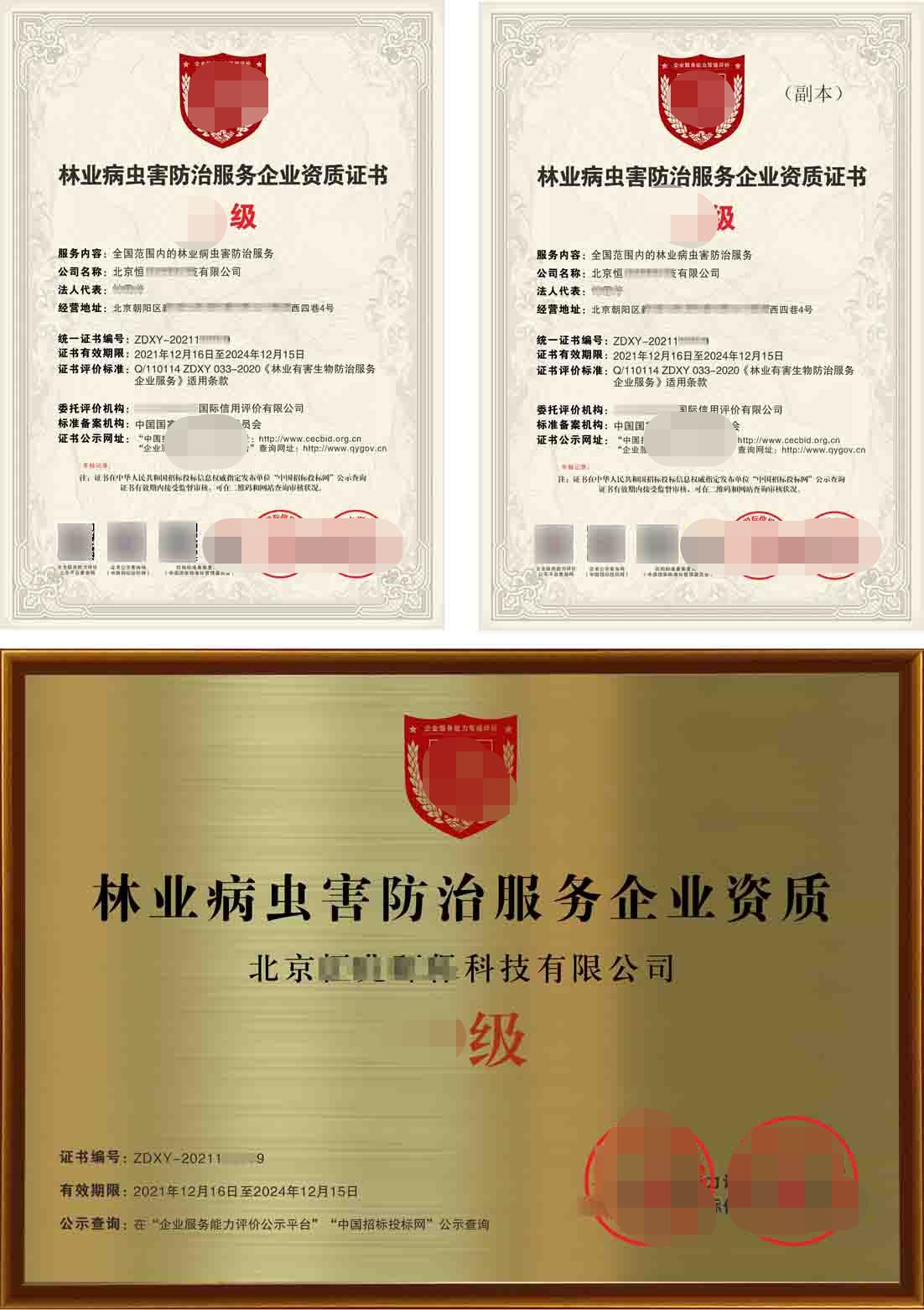 林业病虫害防治证书流程