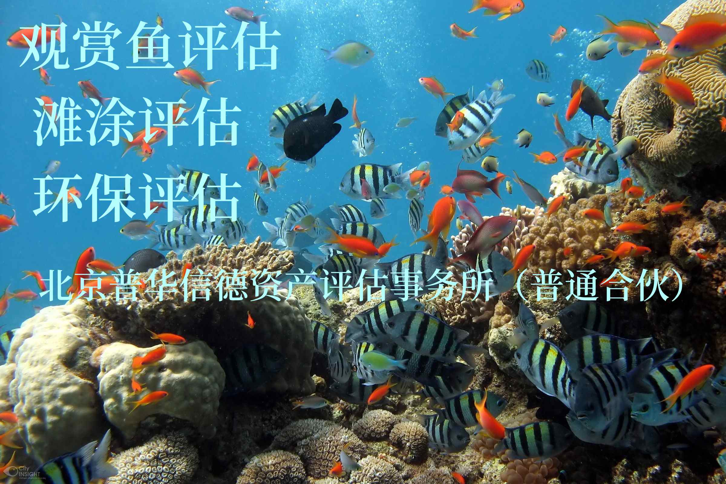 玉溪征收评估