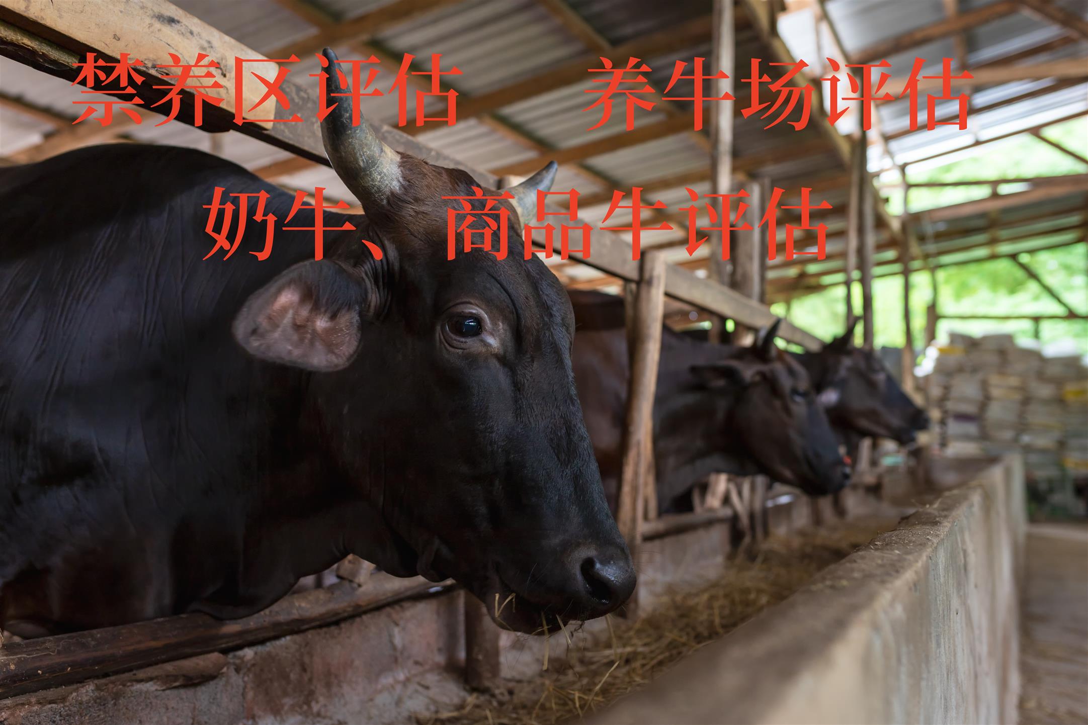 北京征收评估