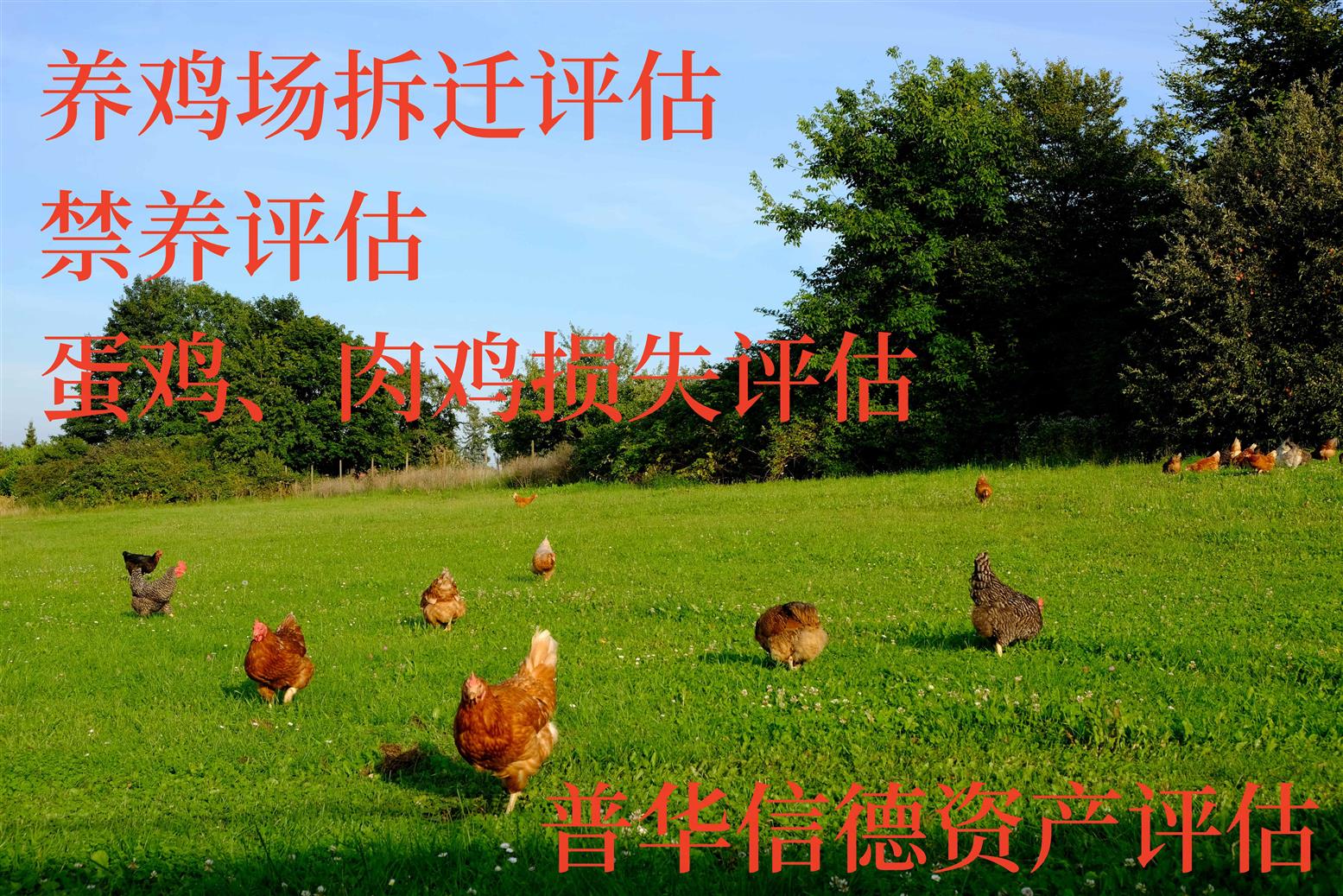 开封建筑评估