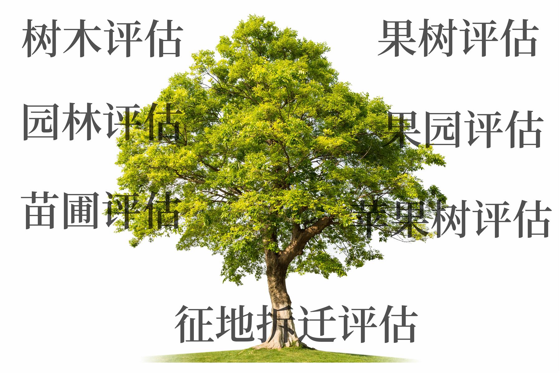 北京征收评估