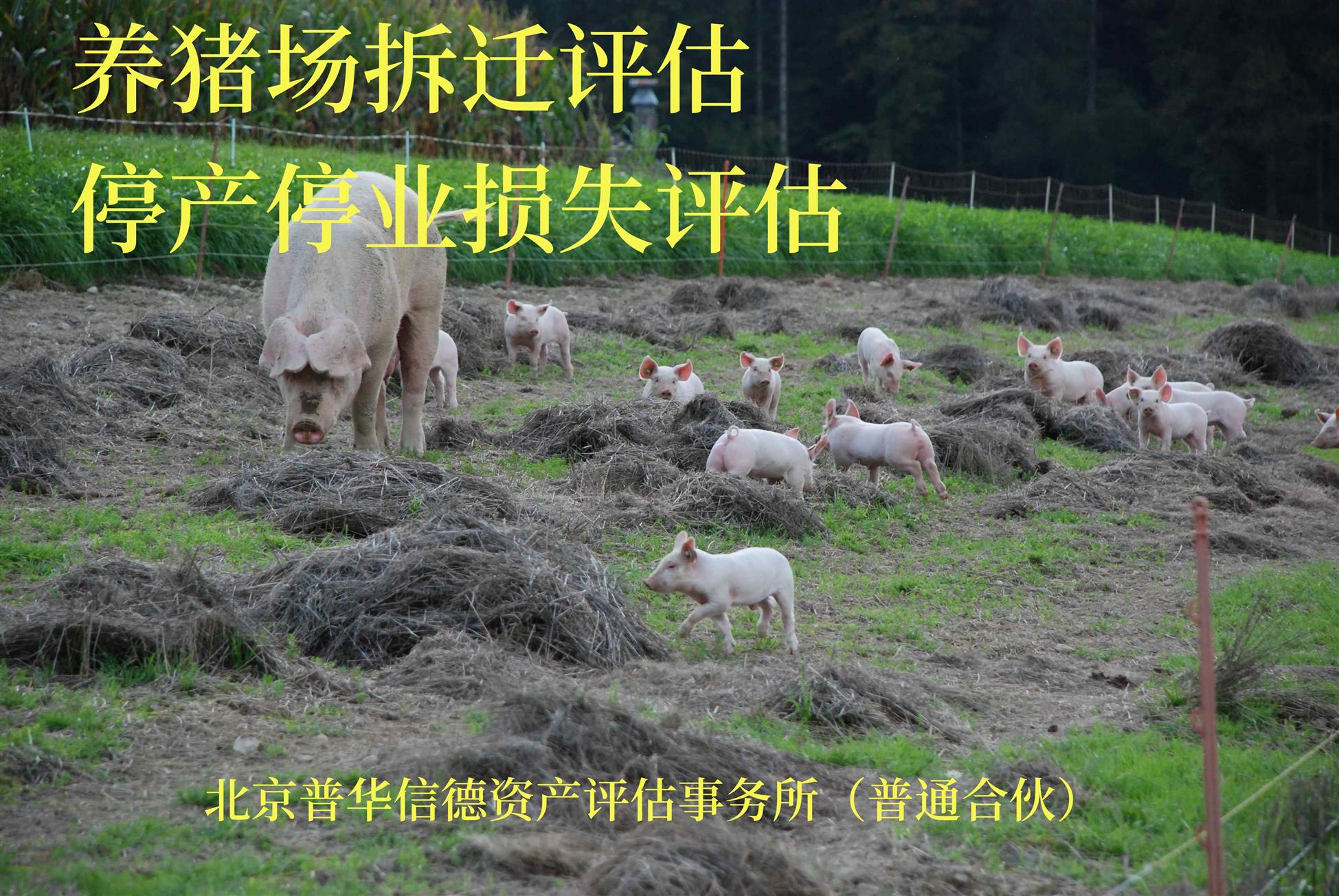 芜湖装修评估