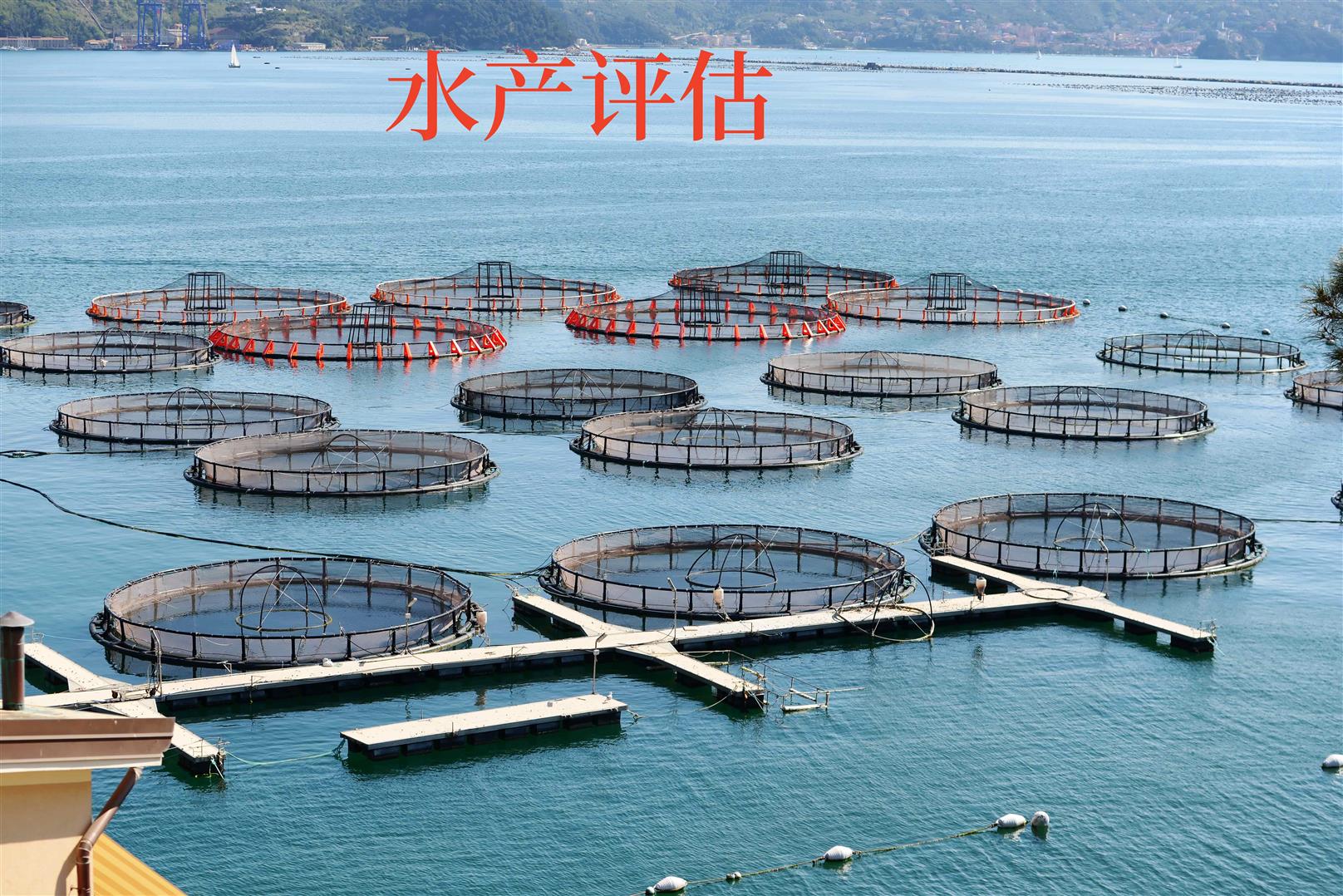 池州租金评估