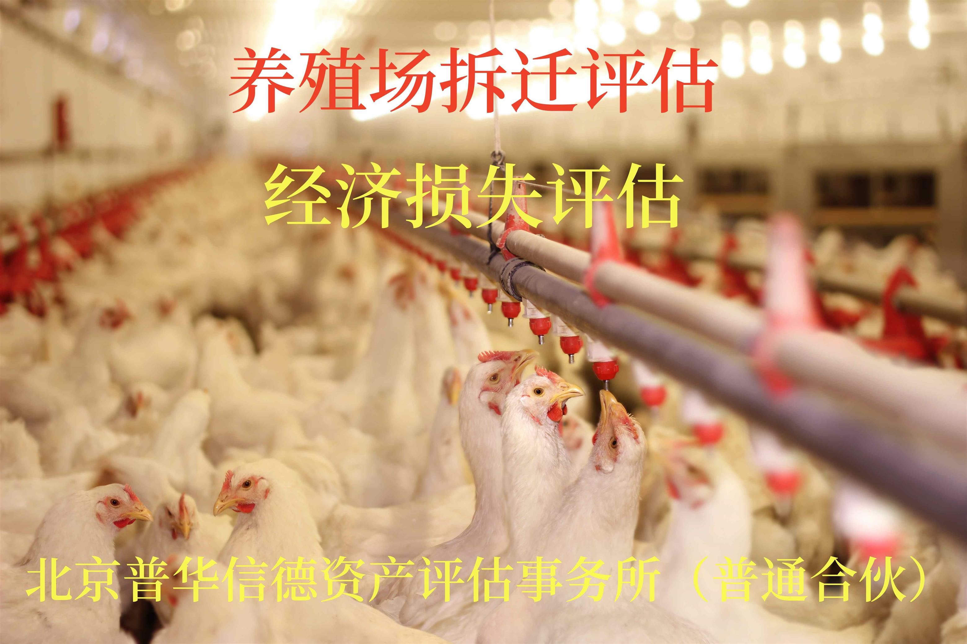南阳增资评估