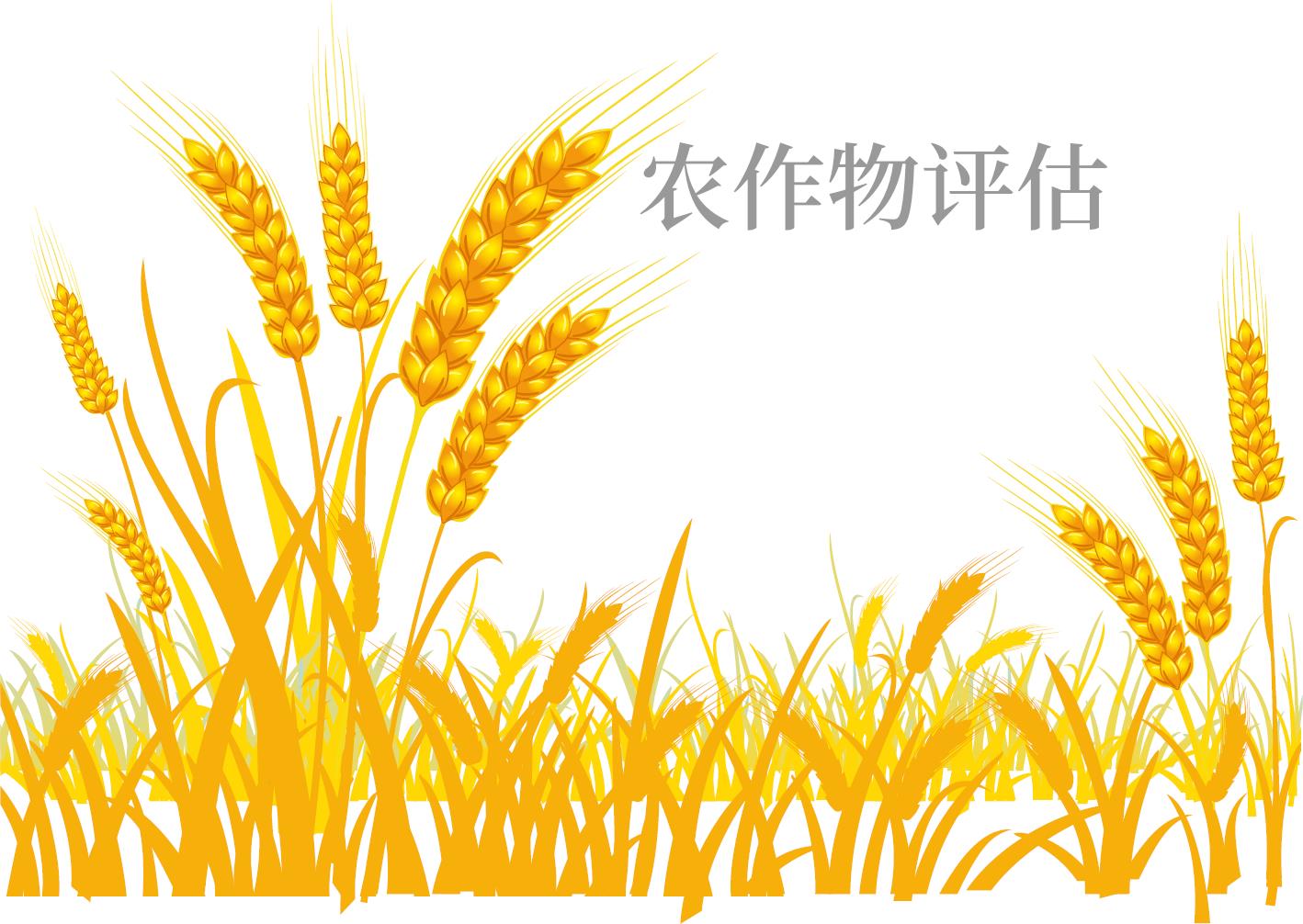 鸡西增资评估