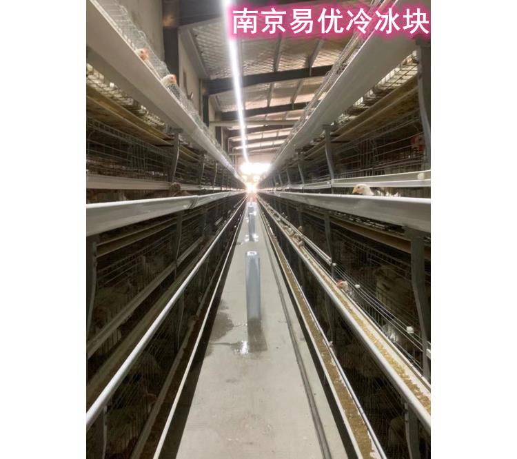 南京栖霞区保险冰块报价