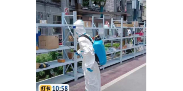 徐汇区诱饵灭蟑螂服务,灭蟑螂