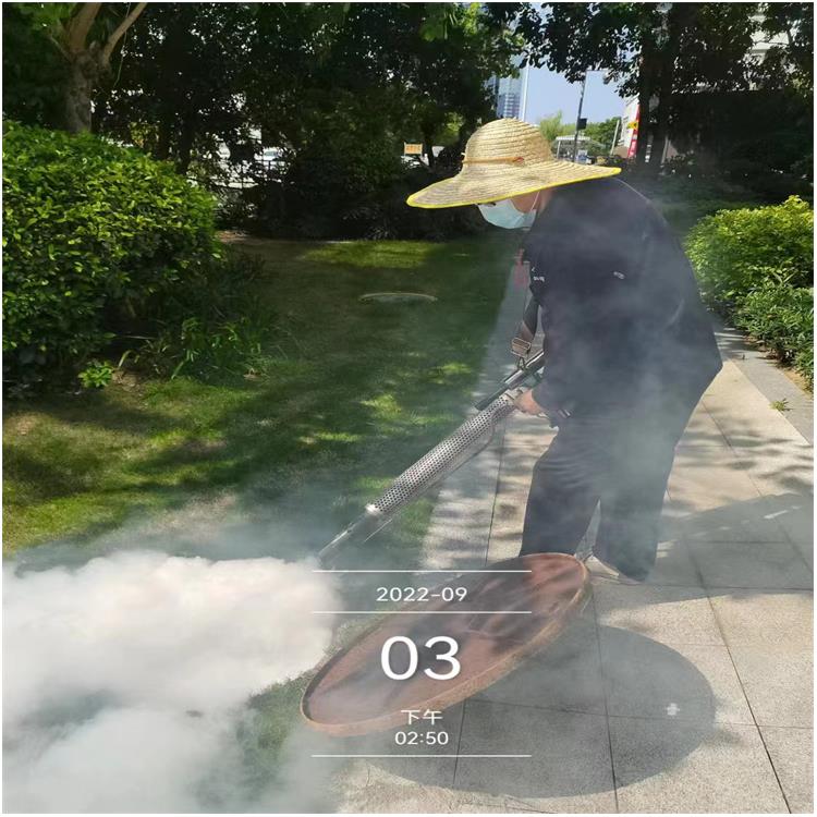 狮山镇上门灭鼠公司电话