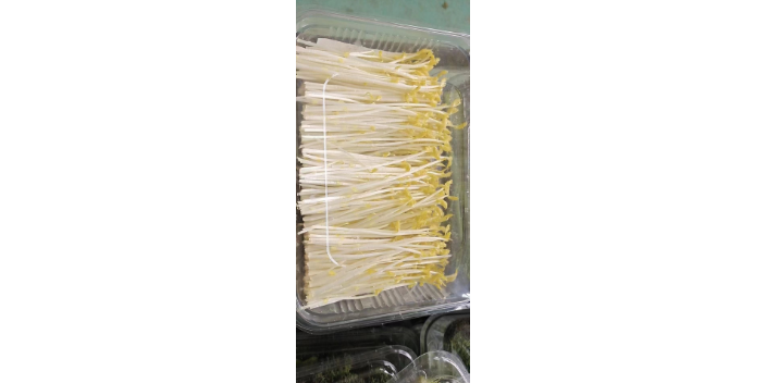 昆山新鲜盆栽菜基地平台,盆栽菜基地