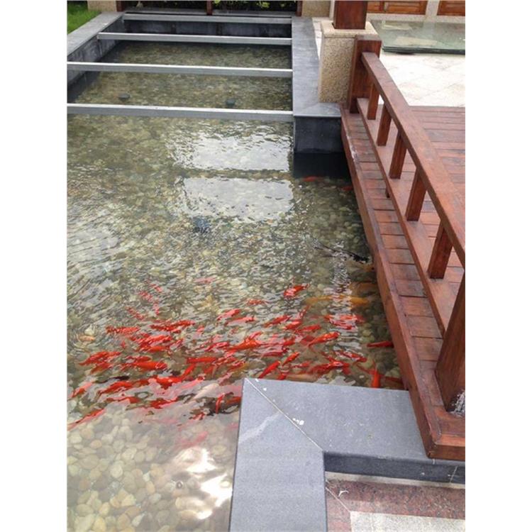 常州鱼池过滤设备价格 鱼池水净化过滤工程