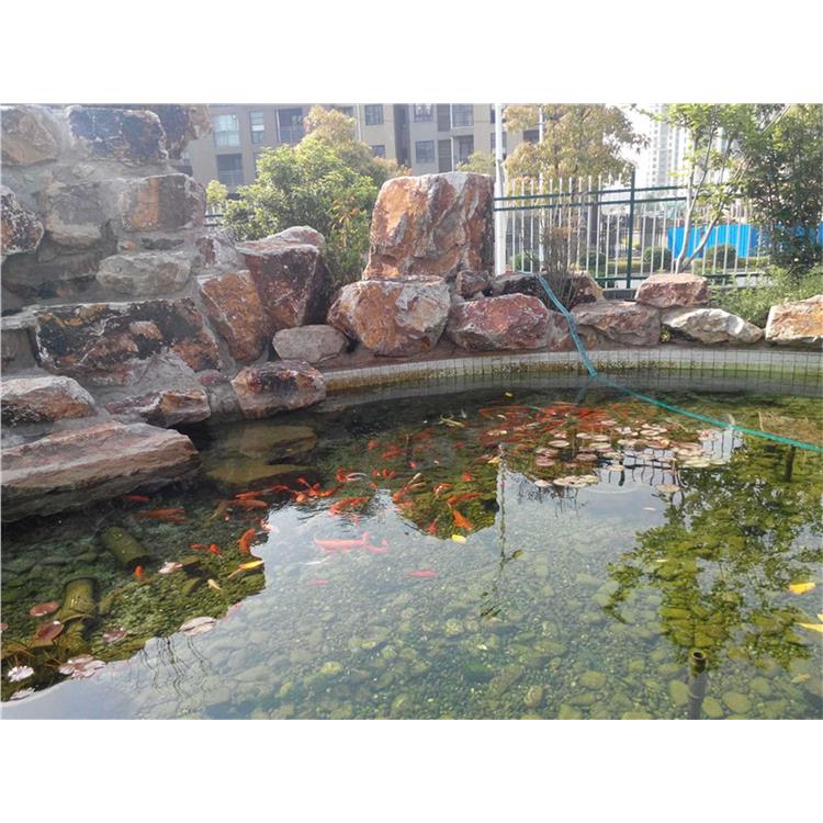 苏州鱼池过滤设备公司 景观鱼池水净化