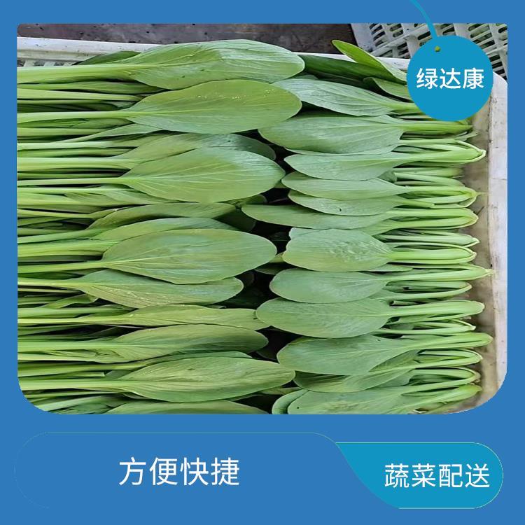 大朗食堂蔬菜配送公司 干净卫生 满足不同客户的需求