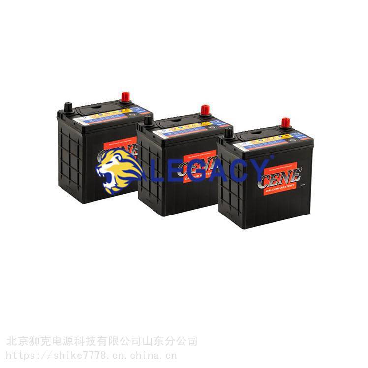 韩国进口CENE蓄电池8D1300 12V230AH 柴油发电机