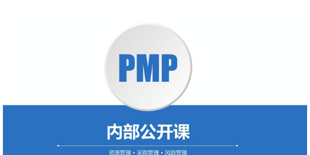 杭州IT项目管理 深圳市世纪**管理咨询供应