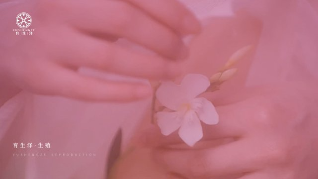 昭通流产后生殖共同合作,生殖