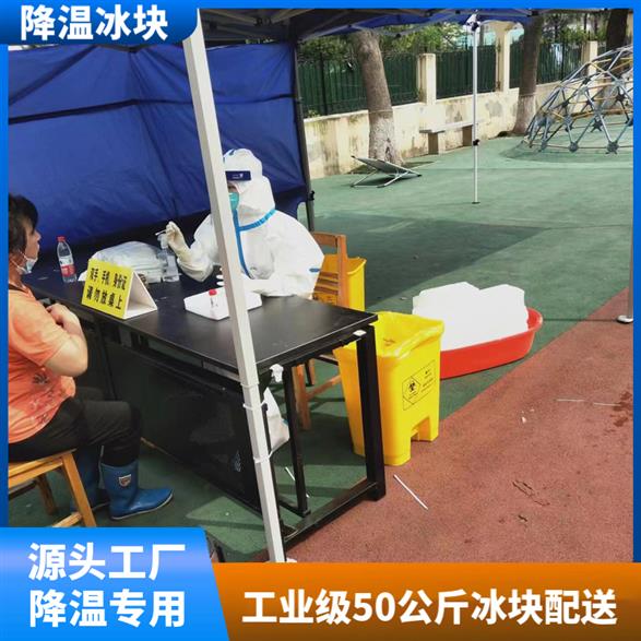 句容保险冰块厂家
