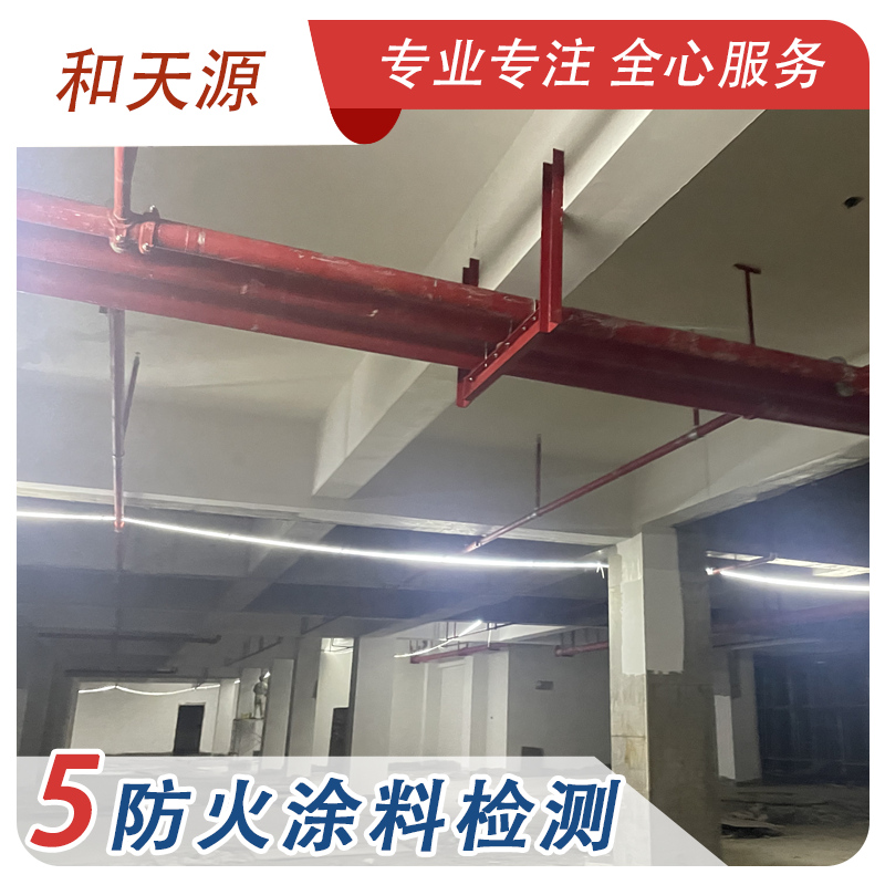 福建宁德市*涂料检测公司