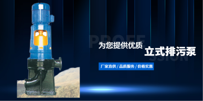 上海潜水排污泵生产厂家 南京三元环保设备供应