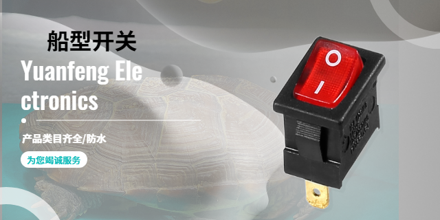 温州船型开关找哪家,船型开关