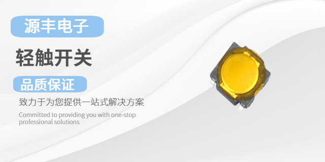 东莞防水带灯轻触开关,轻触开关