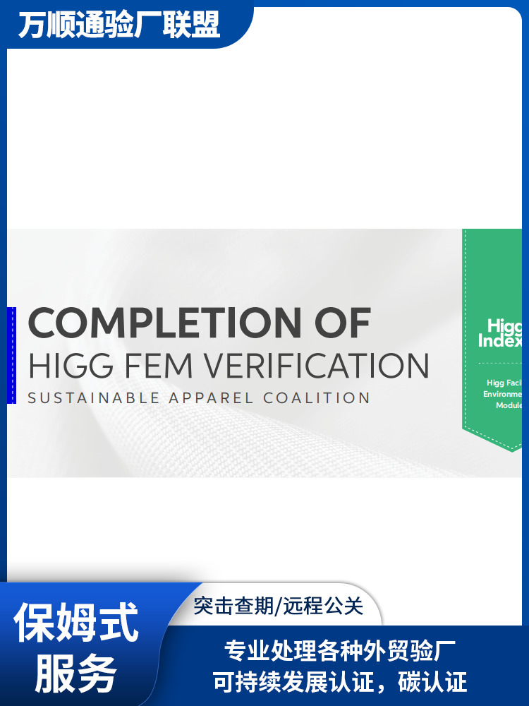 FEM验厂